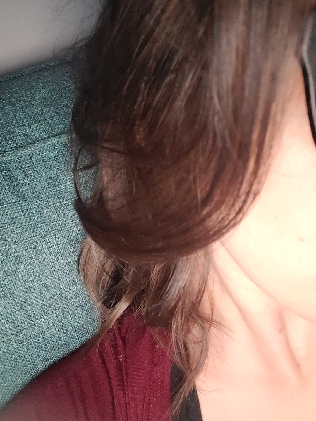 Customer photo review of Stranded Fibre Colour Sample #4 Chocolate Dahlia