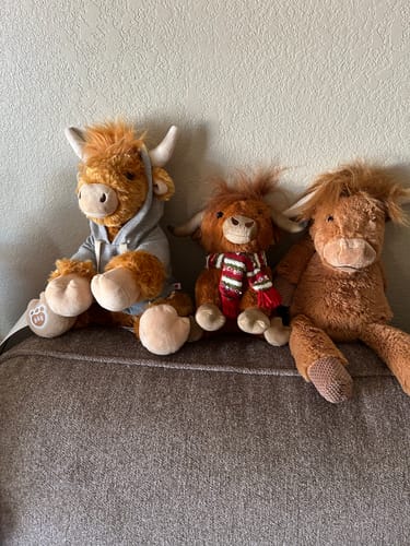Customer photo review of Highland Cow Plush Sitter