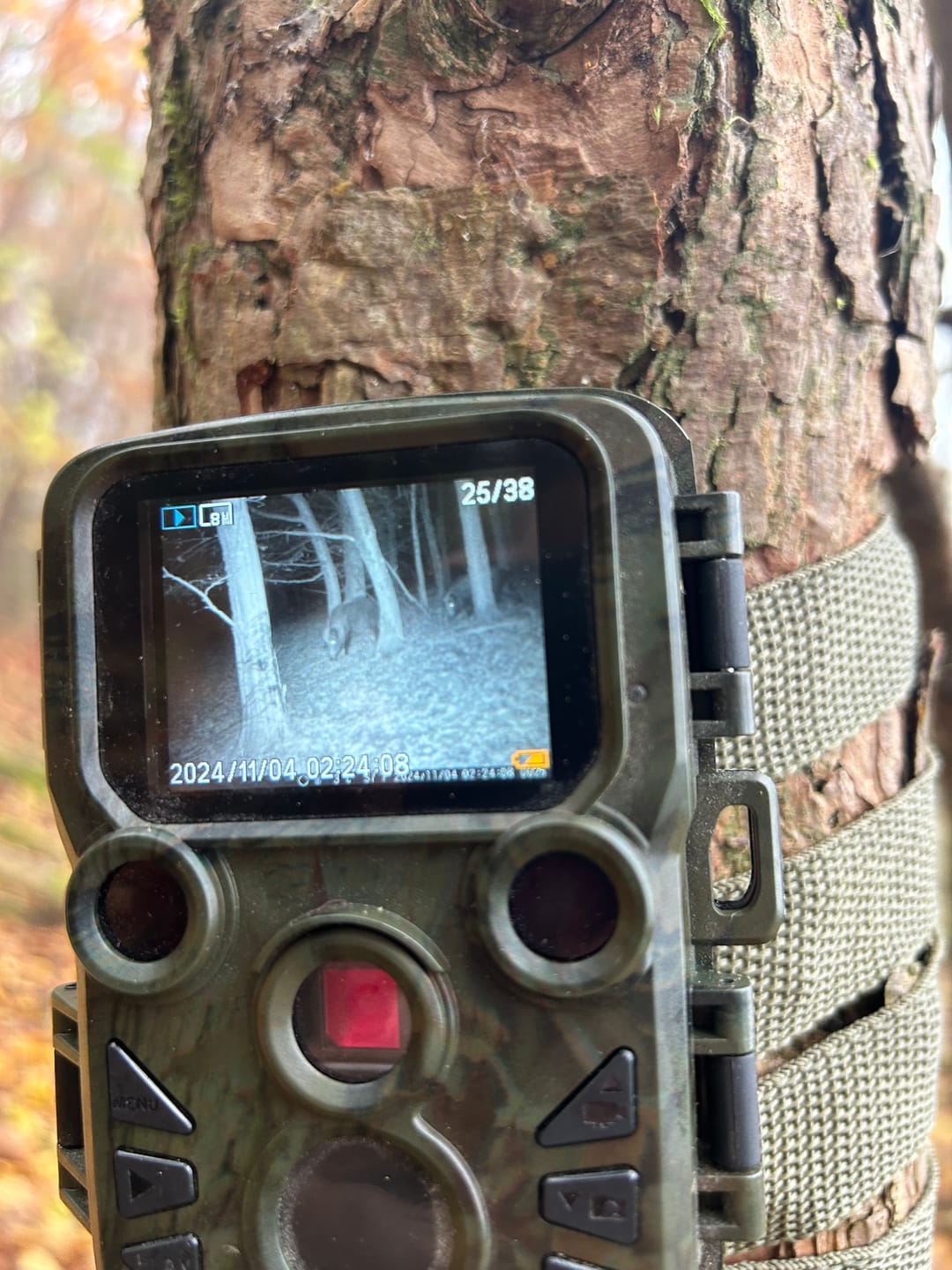 Customer photo review of Salzspray Apfel - Lockmittel Rehwild, Schwarzwild, Rotwild und Damwild