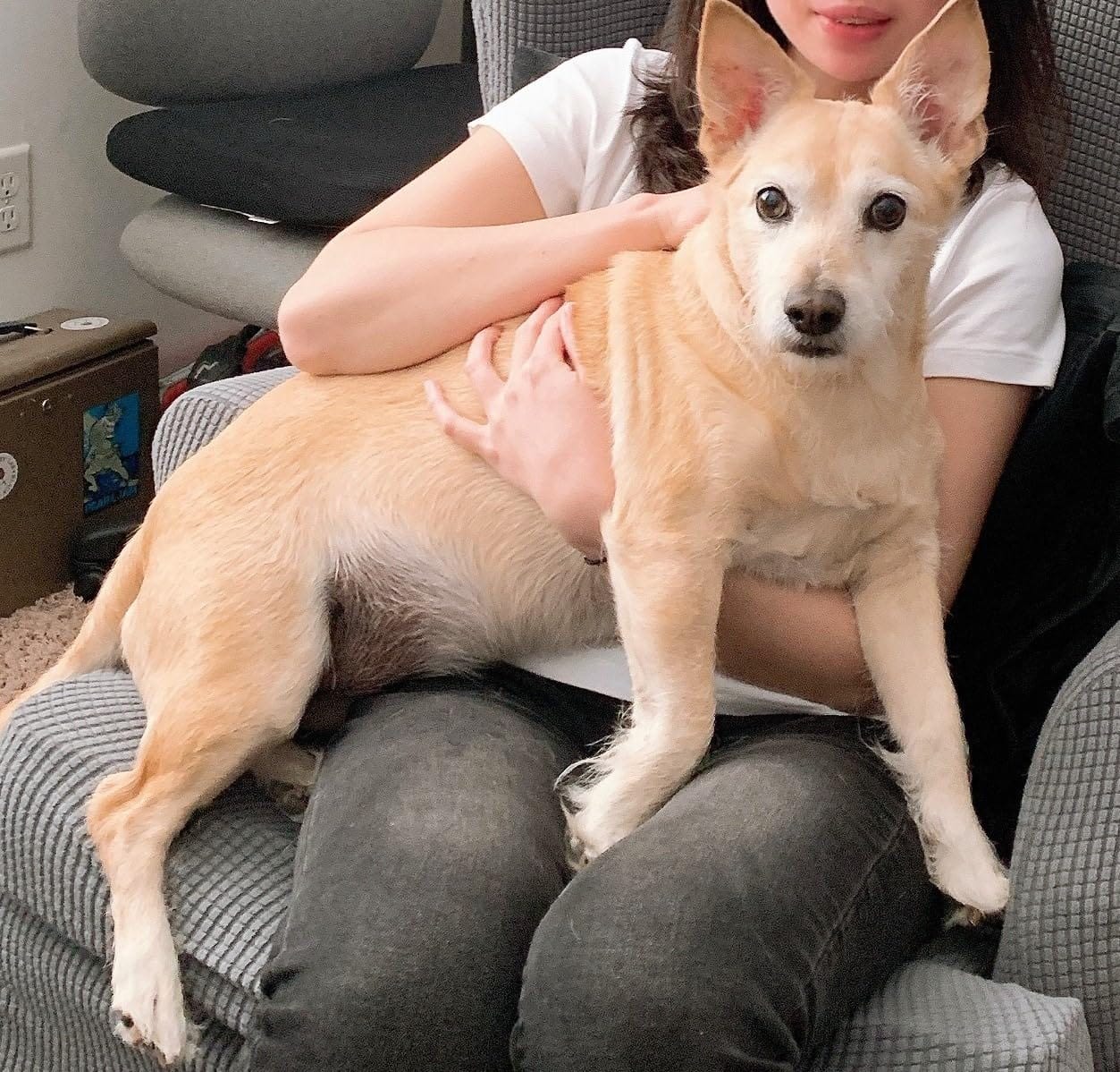 Customer photo review of Probiotica voor Honden – Spijsverterings- en Darmgezondheid