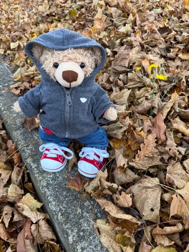 Customer photo review of Eddy The Teddy Bear