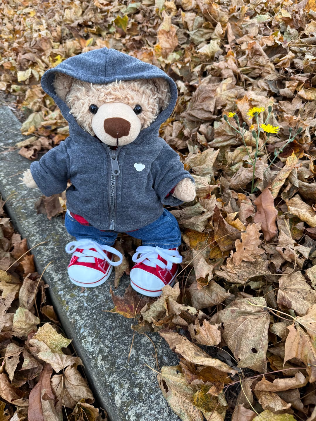 Customer photo review of Eddy The Teddy Bear