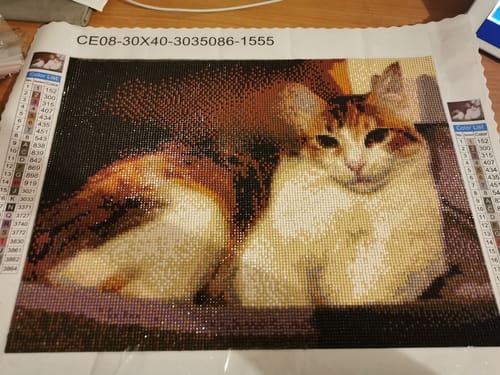 Customer photo review of Made with Diamonds® Custom Kit