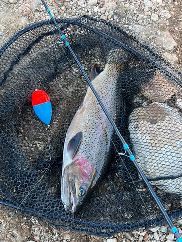 Customer photo review of Rockfish Bobber 2.25 oz for Long Casting Fisherman's Life®