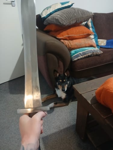 undefined review of Hoplite Sword - Trollkors image 1 out of 1