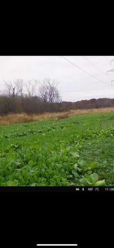Customer photo review of One Plot ASAP
