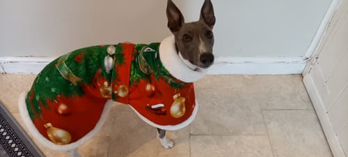 Customer photo review of Sighthound Christmas Tree Warm Fleece Coat