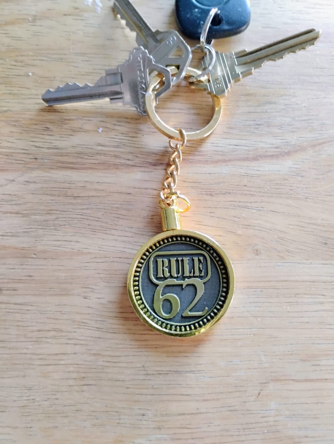 Customer photo review of Rule 62 AA/NA Bronze Recovery Medallion