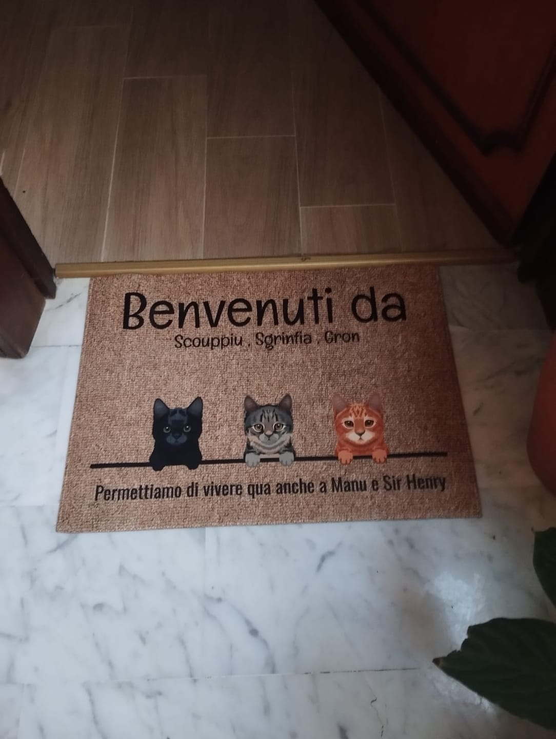 Customer photo review of Tutti i miei amici pelosi - Zerbino personalizzato