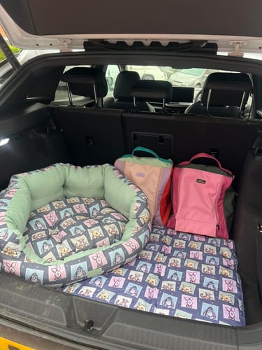 Customer photo review of Disney© Dog Bed - Winnie + Friends