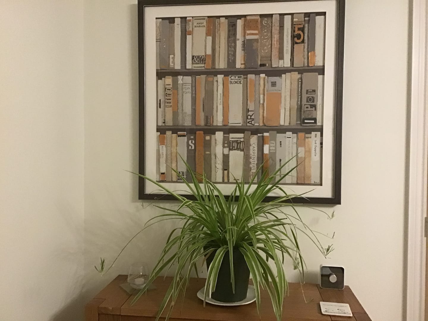 Customer photo review of The Library By Sabrina Roscino