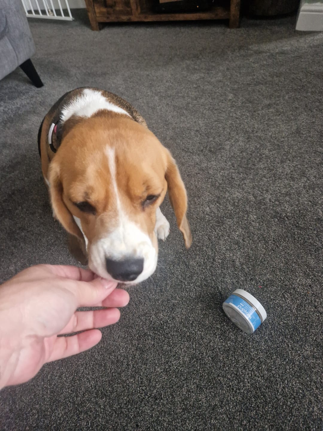 Customer photo review of Total Probiotic Tablets For Dogs