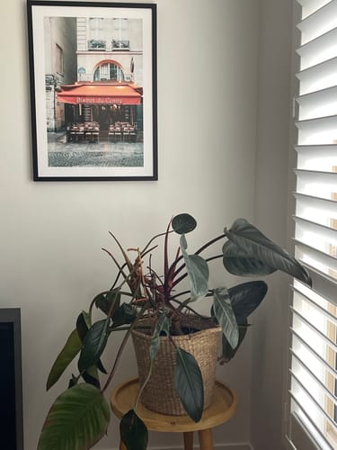 Customer photo review of Bistrot Du Centre | Paris Art Print