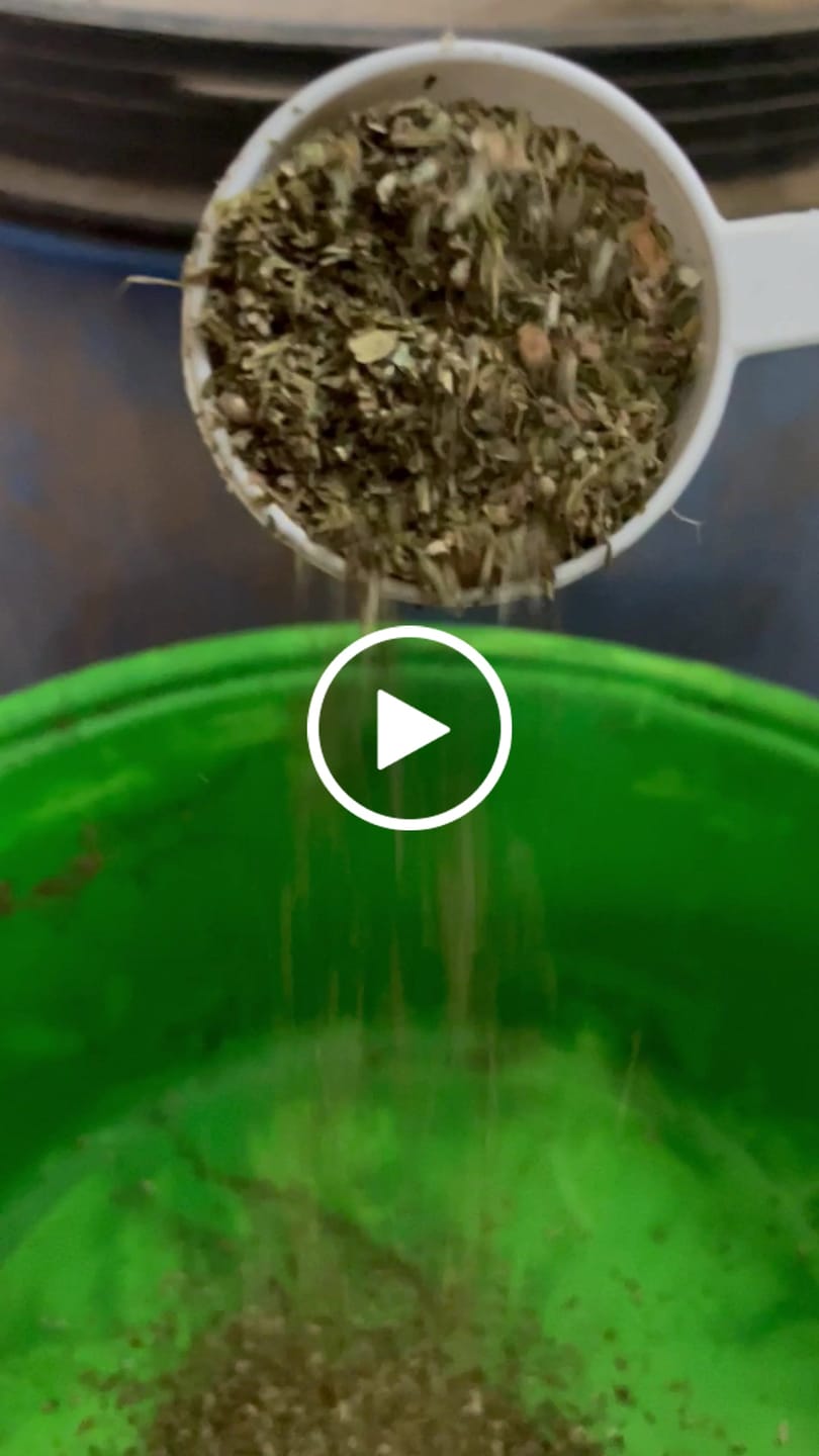 Customer video review of Für Pferde - Hanf Pur - 2.5% CBDa - 360 g