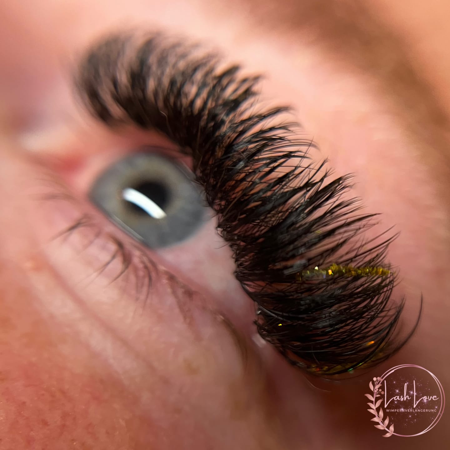 Customer photo review of Wispy 5D Lashes Wimpernfächer Speedy Mixbox 1200 Fächer