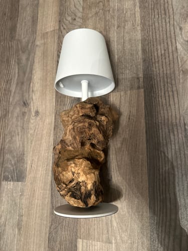 Customer photo review of LED Treibholz Akku Tischlampe SERA kabellos Schirm Weiß