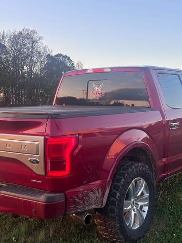 undefined review of Shine Supply Decal image 1 out of 1