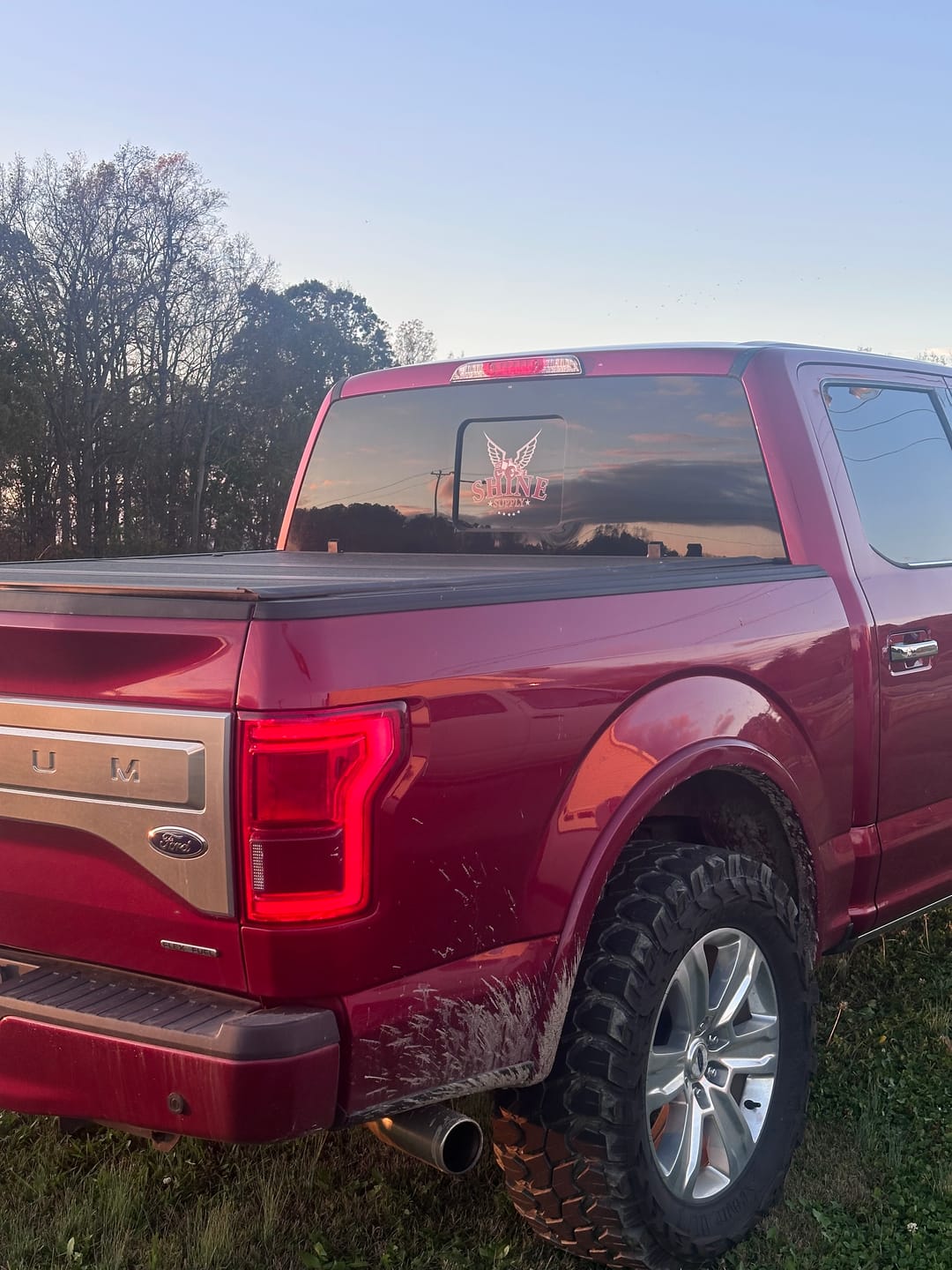 Customer photo review of Shine Supply Decal