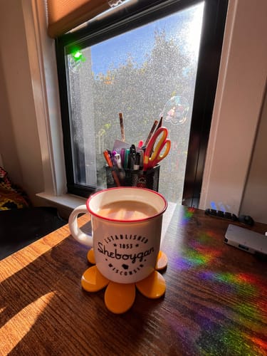 Customer photo review of Daisy Coasters Pack of 4