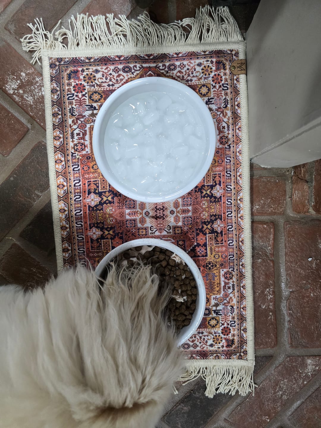 Customer photo review of Pet Bowl Mat with Fringe - Ophelia // Personalization: Not requested on this item.