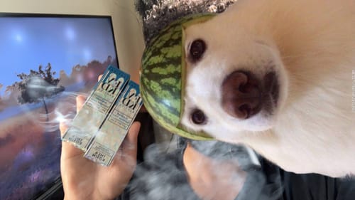 Customer photo review of FVKD EXOTICS THCA ROSIN DISPOSABLE  | 3.5g.