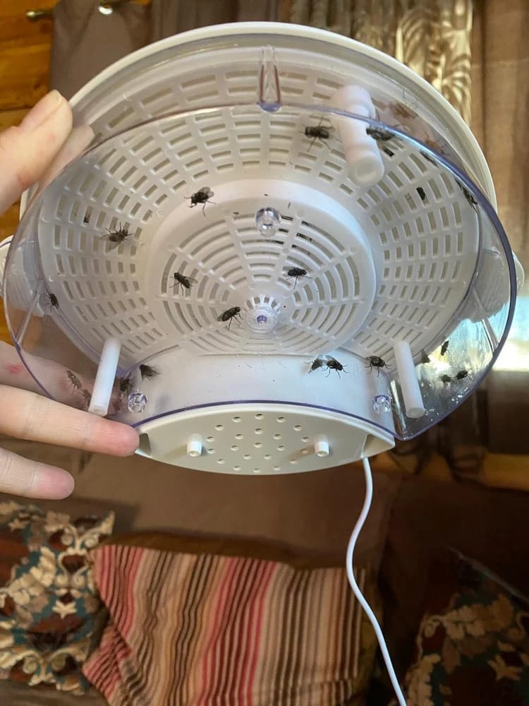 Customer photo review of EcoTrappe - Attrape-Mouche Électrique