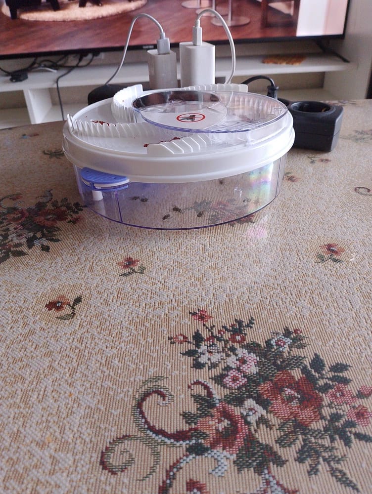 Customer photo review of EcoTrappe - Attrape-Mouche Électrique