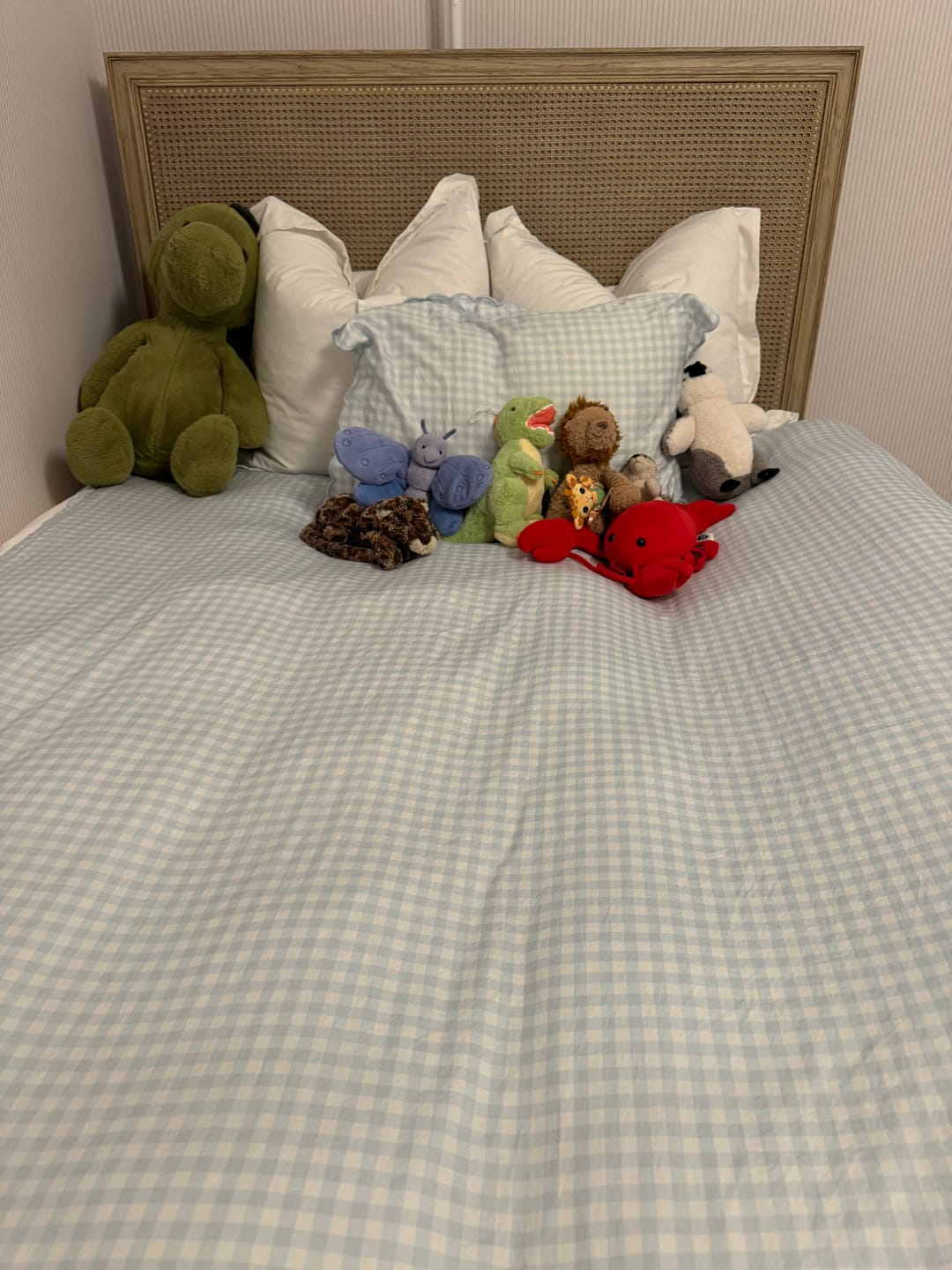 Customer photo review of Picnic Gingham Twin Set - Blue