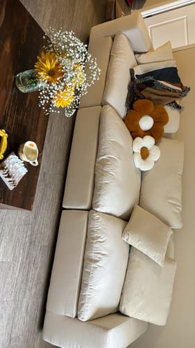 Customer photo review of Cozy Collection Plush Modular 3 Piece Sofa