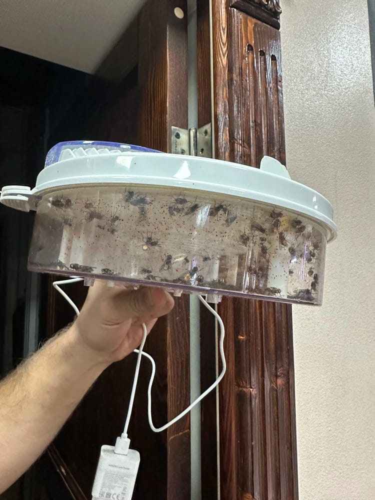 Customer photo review of EcoTrappe - Attrape-Mouche Électrique
