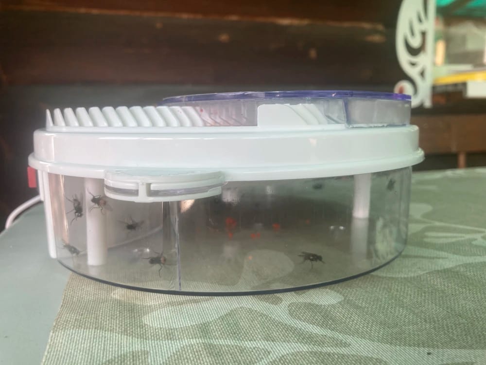 Customer photo review of EcoTrappe - Attrape-Mouche Électrique