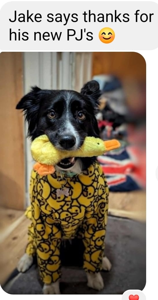 Customer photo review of Yellow Ducks Anti Pill Polar Fleece Fabric