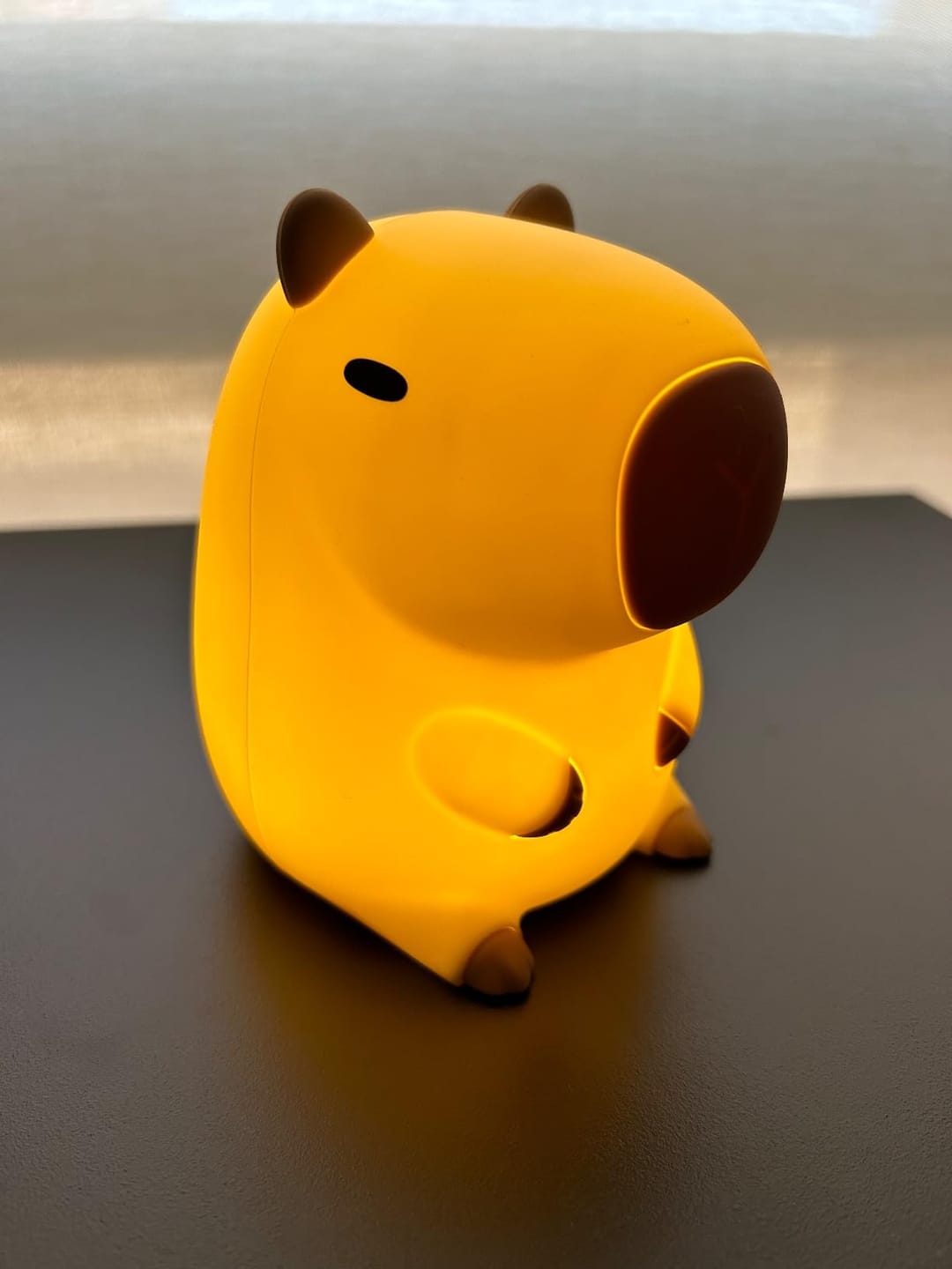 Customer photo review of MeWaii® Capybara Squishy Night Light - Perfect Gift 🎁