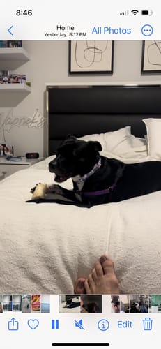 Customer photo review of Beef Cheek Rolls