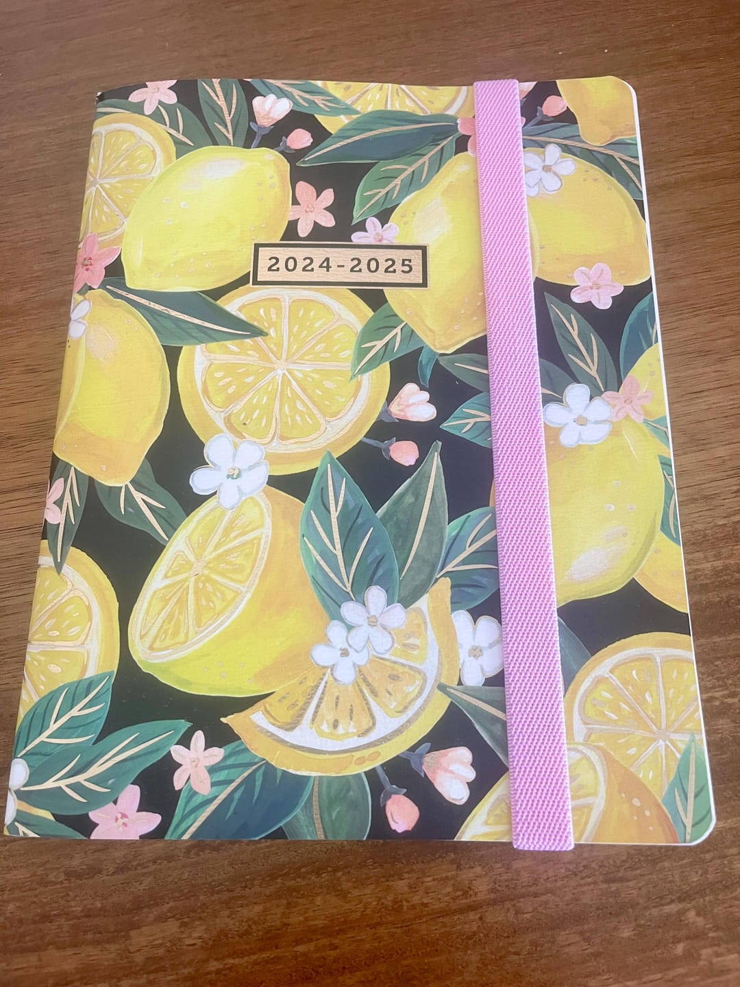 Customer photo review of Planner Stretch Band