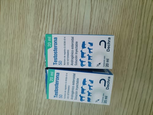 Customer photo review of Testosterona 50