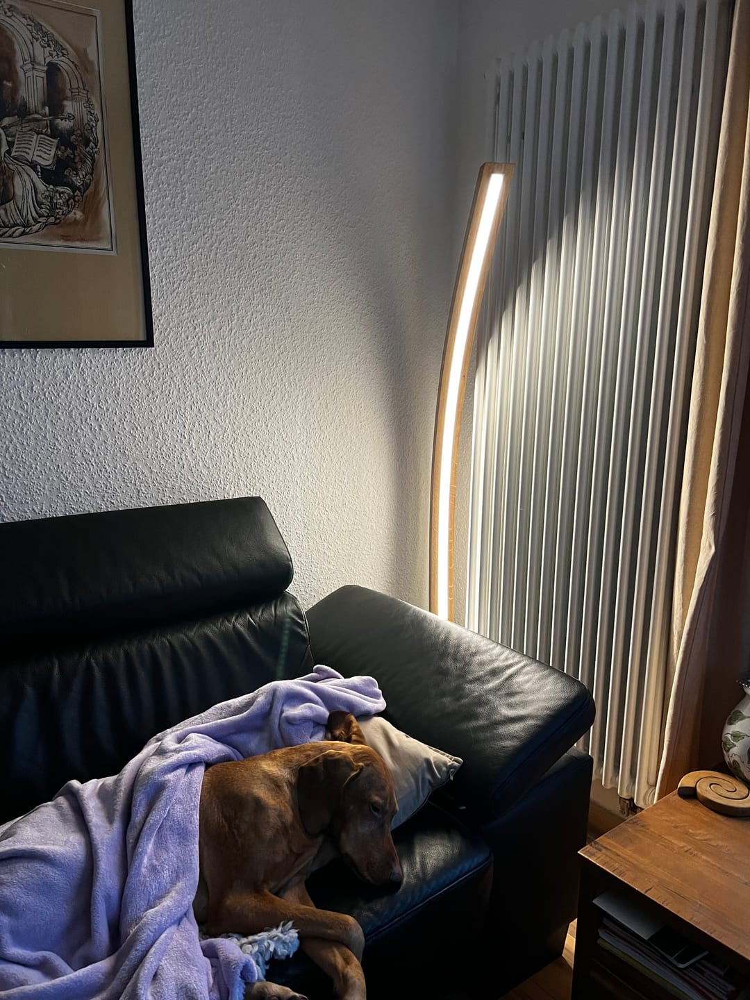 Customer photo review of Stehlampe Holz, LED-Leuchte geschwungen - Solara