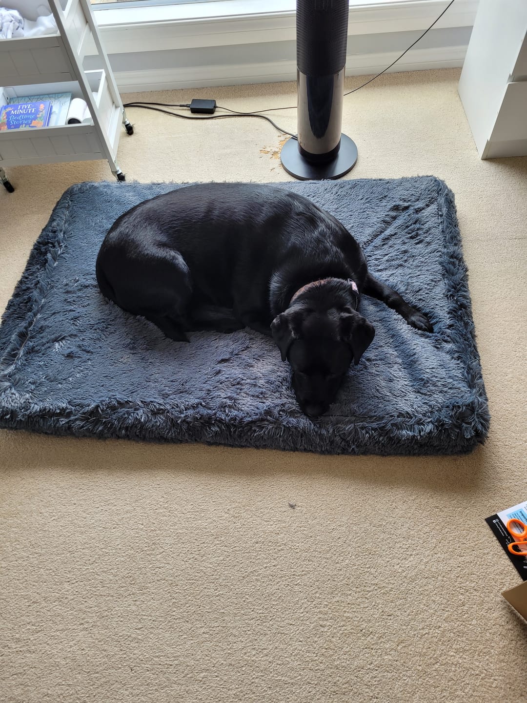 Customer photo review of Brooklyn® Ultra Memory Foam Bed