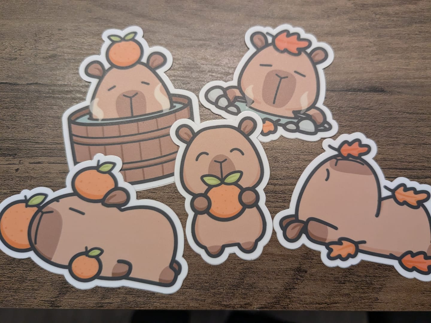 Customer photo review of Autumn Capybaras Die cut stickers