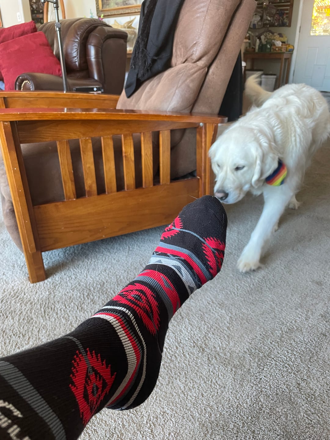 Customer photo review of Premium Crew Socks 3 Pack Black/Grey/Charcoal