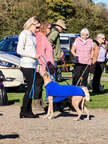 Customer photo review of Fleece Sighthound Base-Layer Coat with Underbelly and Snood