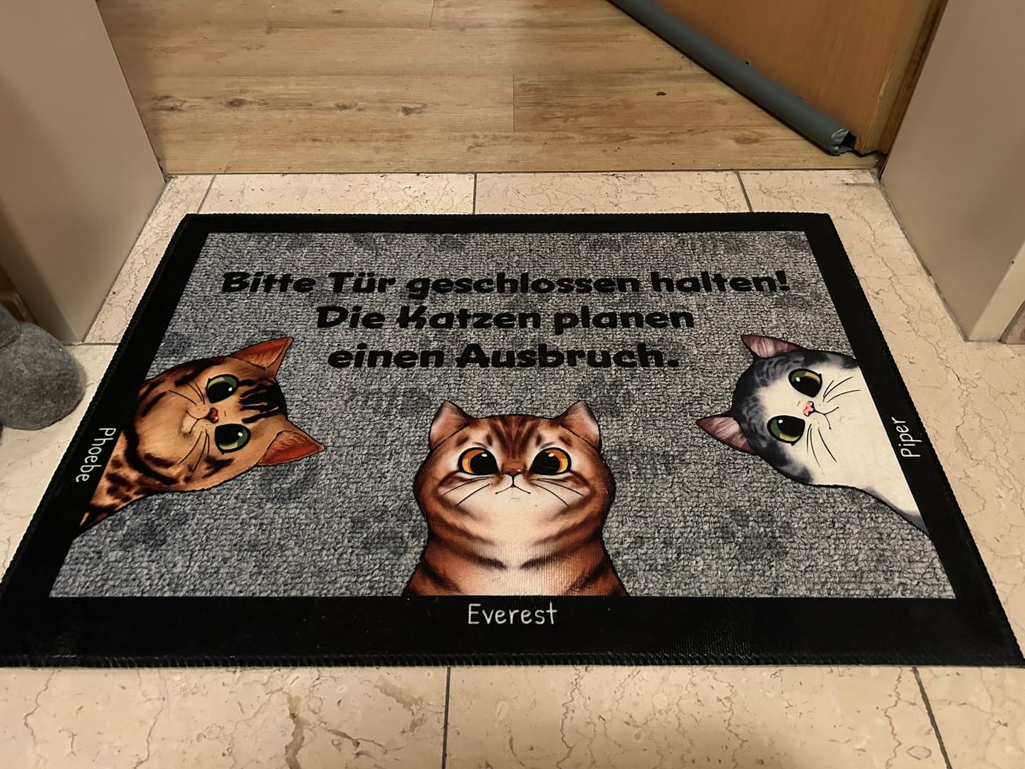 Customer photo review of Katzen planen einen Ausbruch - Individuelle Fußmatte