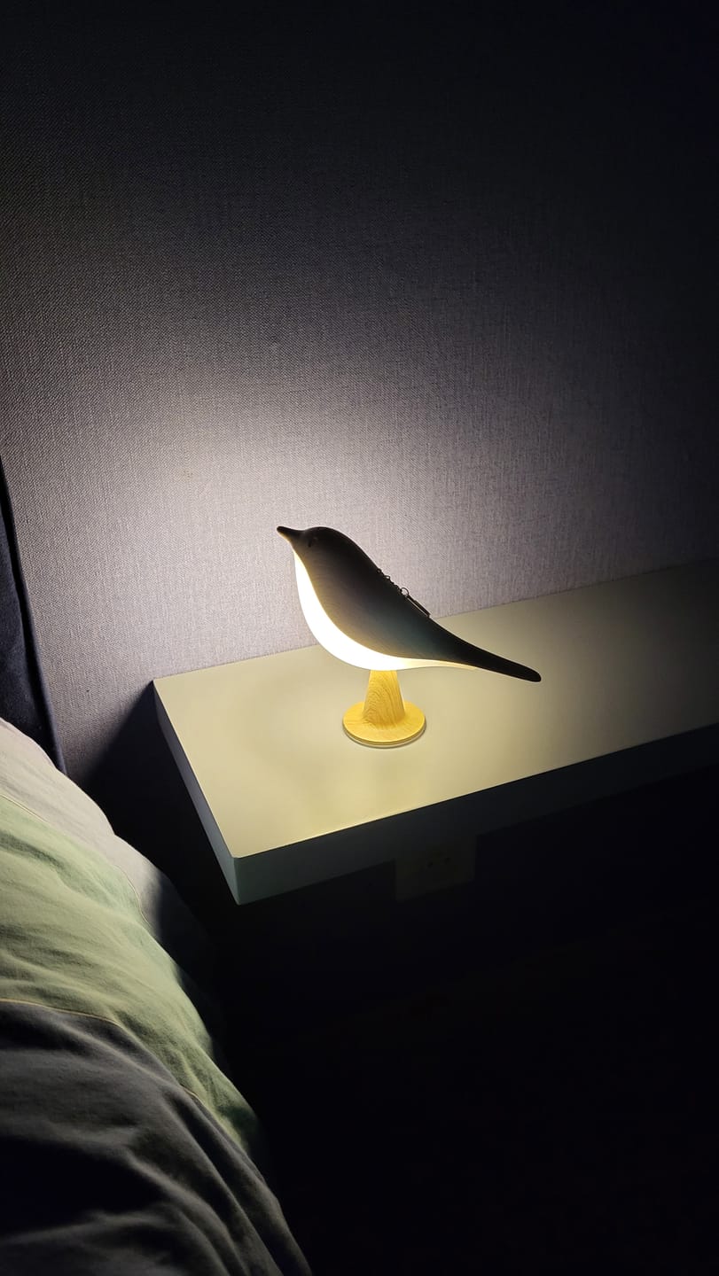 Customer photo review of BirdZen - Lampe de Chevet