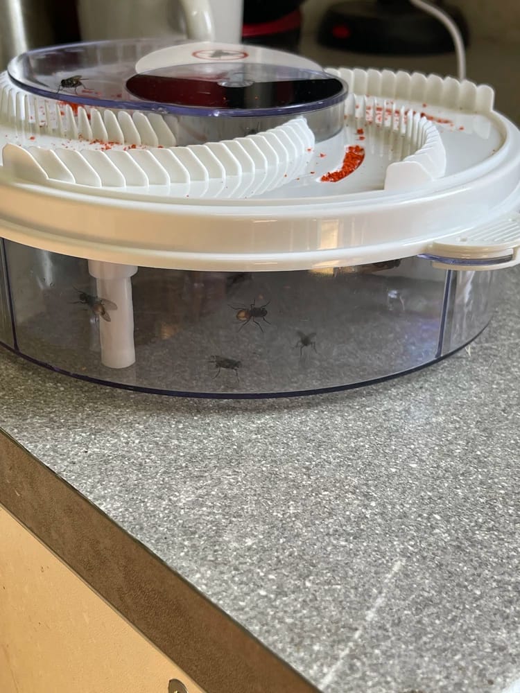 Customer photo review of EcoTrappe - Attrape-Mouche Électrique