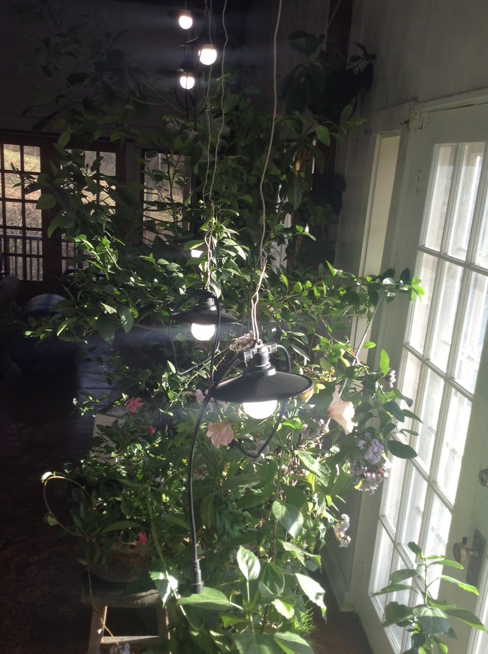 Customer photo review of Classic Metal Patio Light Bulb Shade Cover for Outdoor Commercial String Lights, E26, Black