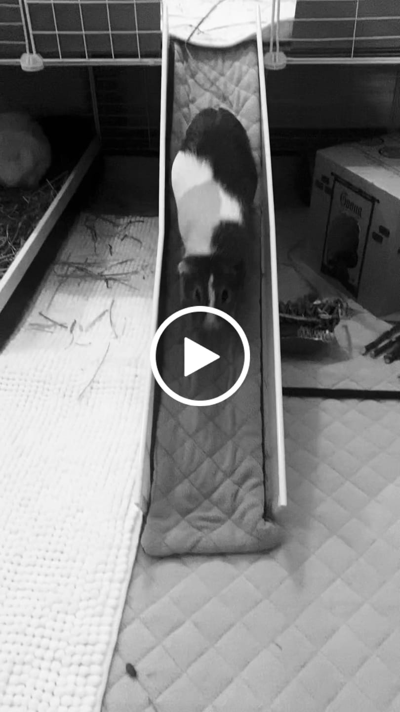 Customer video review of Ramp Liner