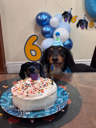 Customer photo review of Personalized Dog Party Pack