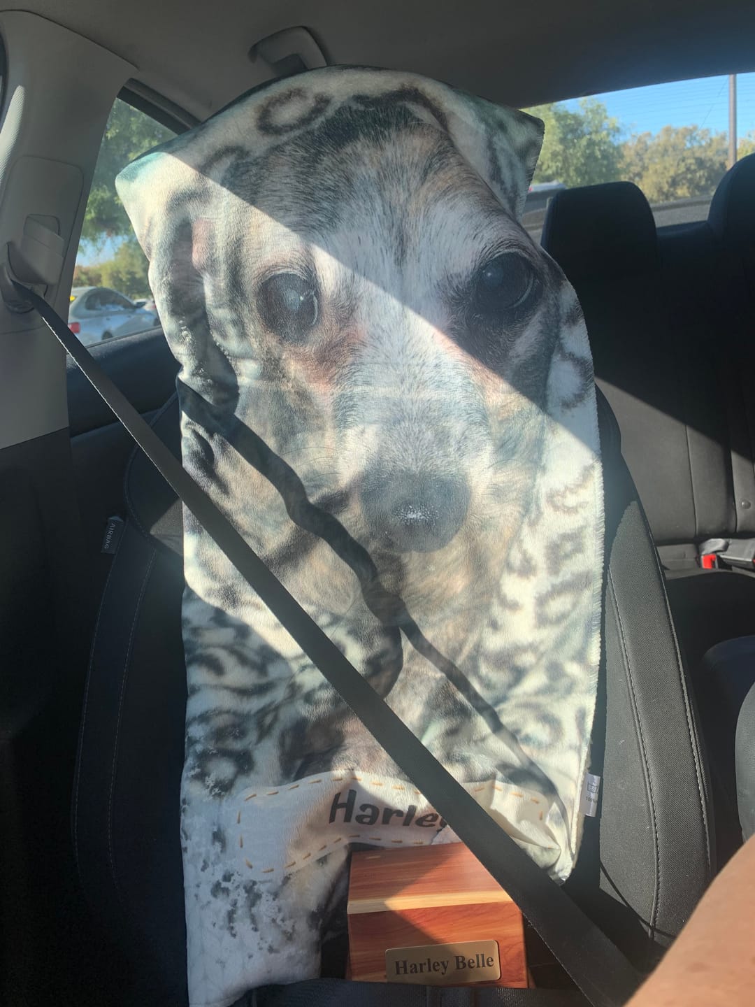 Customer photo review of Thank you - Personalized Blanket