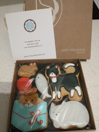 Customer photo review of Cats Biscuit Box