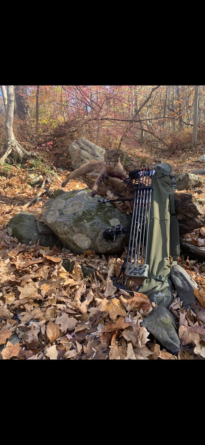 Customer photo review of Muley Freak Bow Cover/Sling